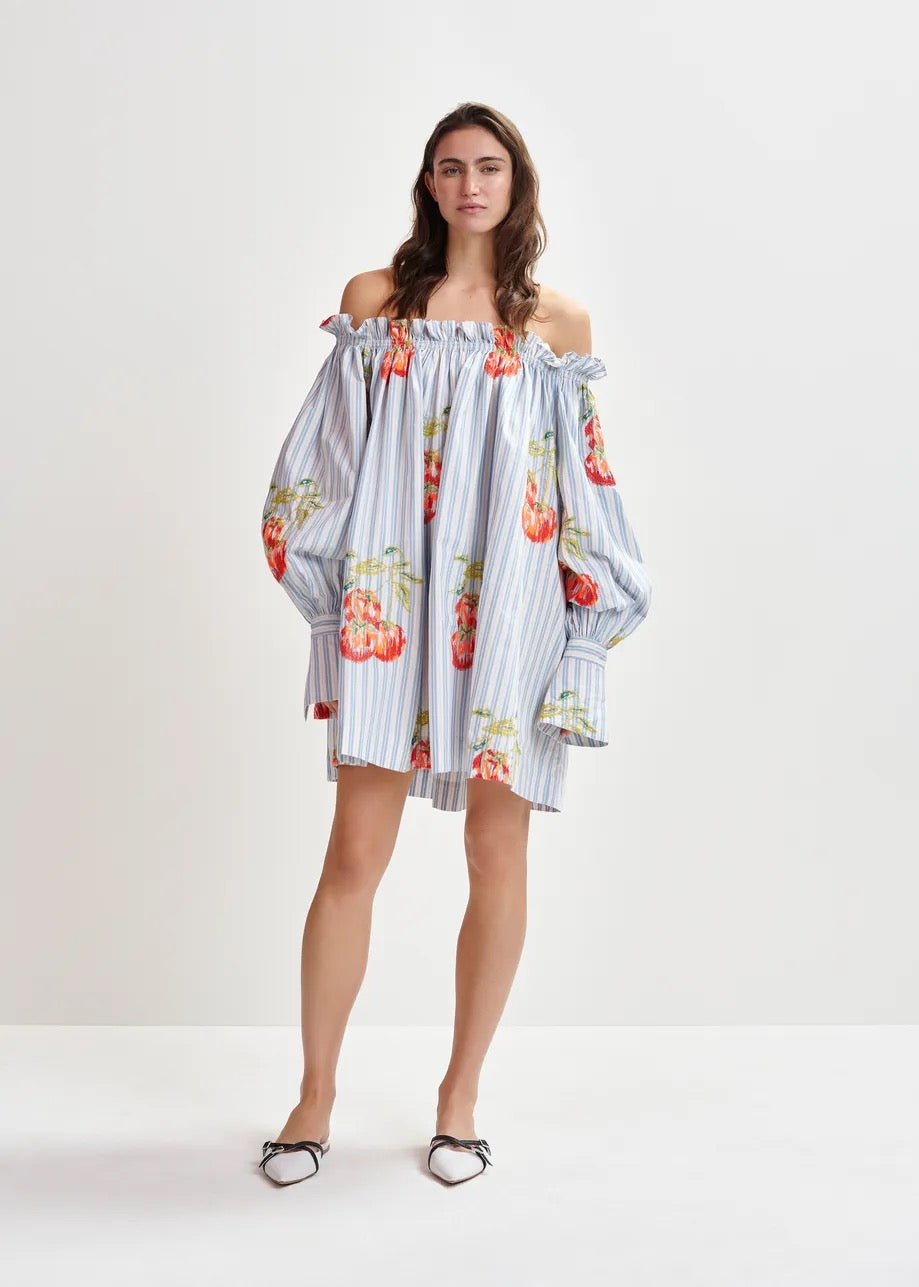 Blue and White Off Shoulder Floral Dress