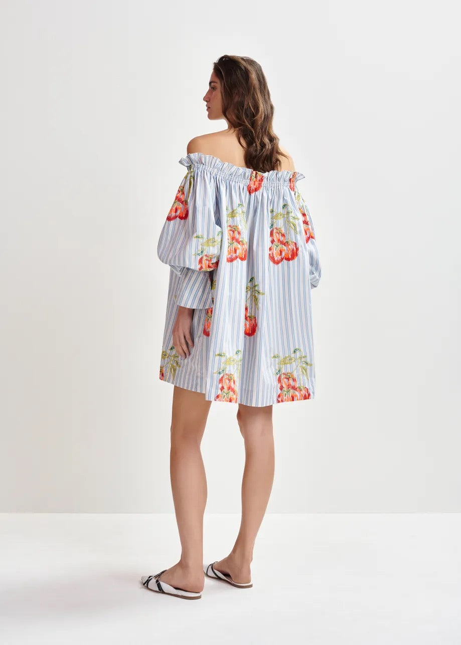 Blue and White Off Shoulder Floral Dress