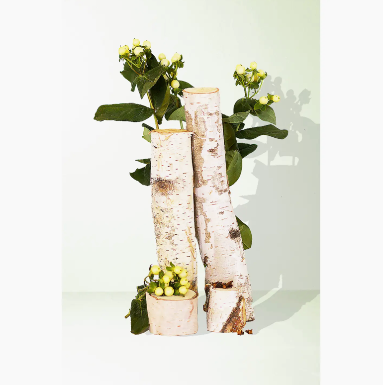 Bayberry + Birch Reed Diffuser