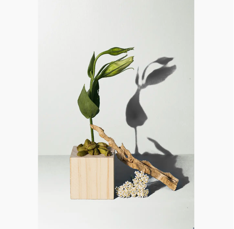 Santal Candle