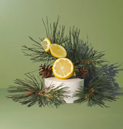 Fir Needle Mini Candle