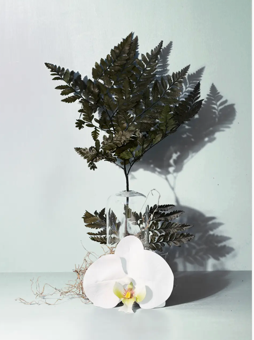 Forest Fern Candle