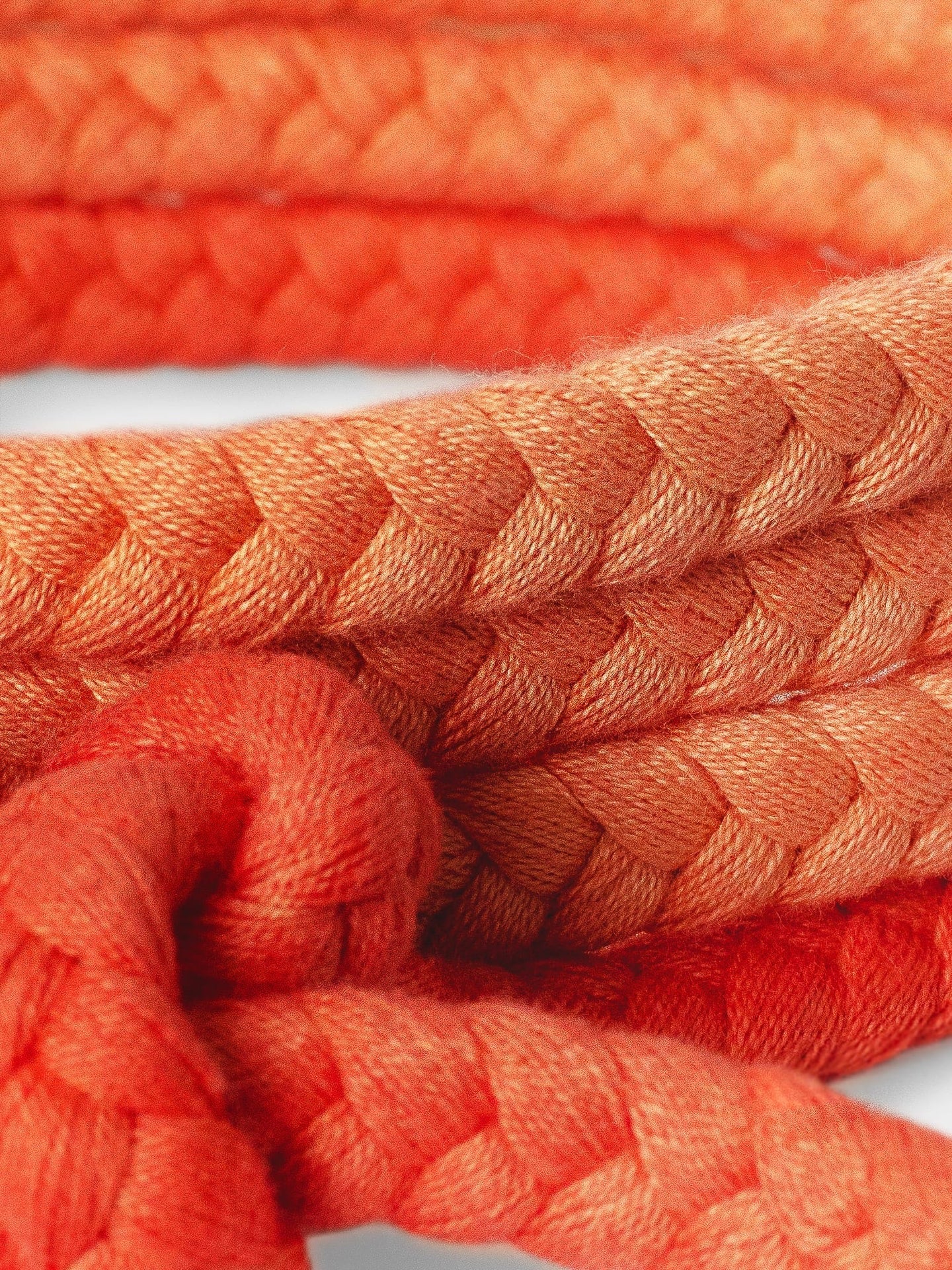 Havana Belt - Orange Flame