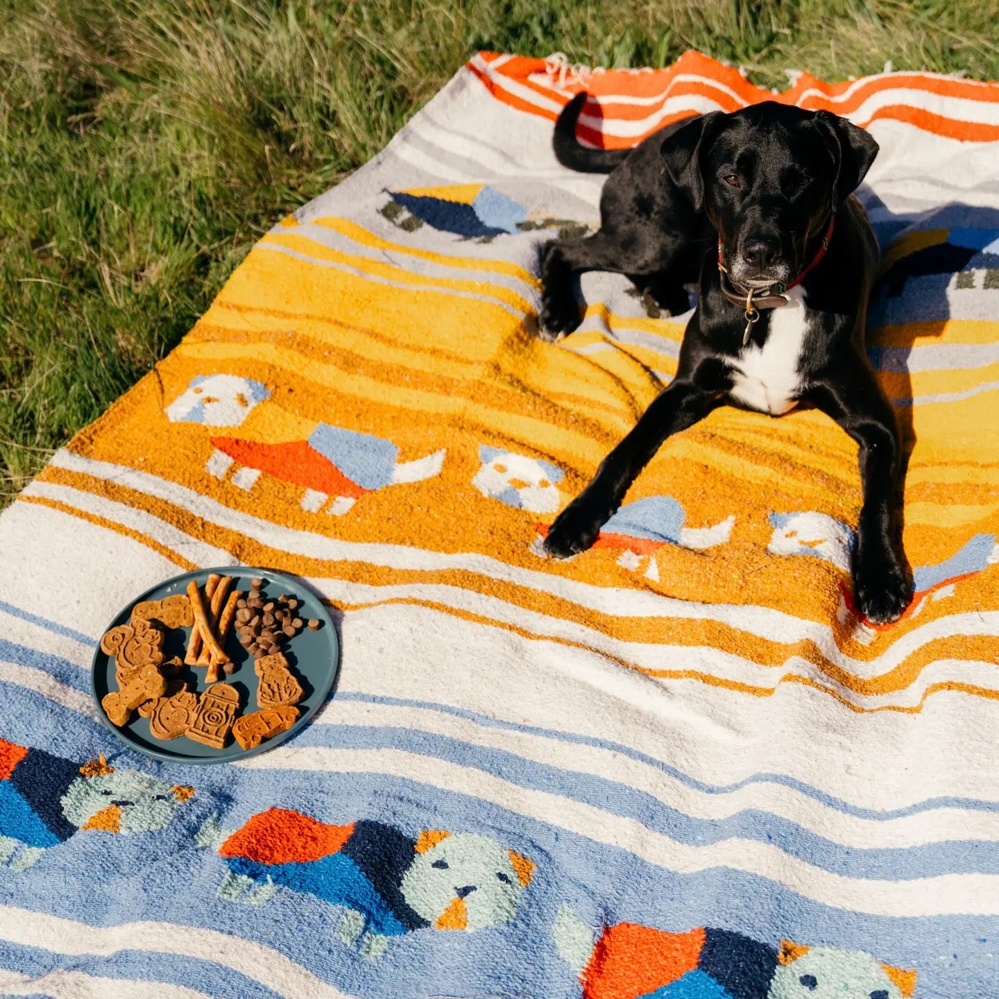 Blanket Roll - Perro Dorado