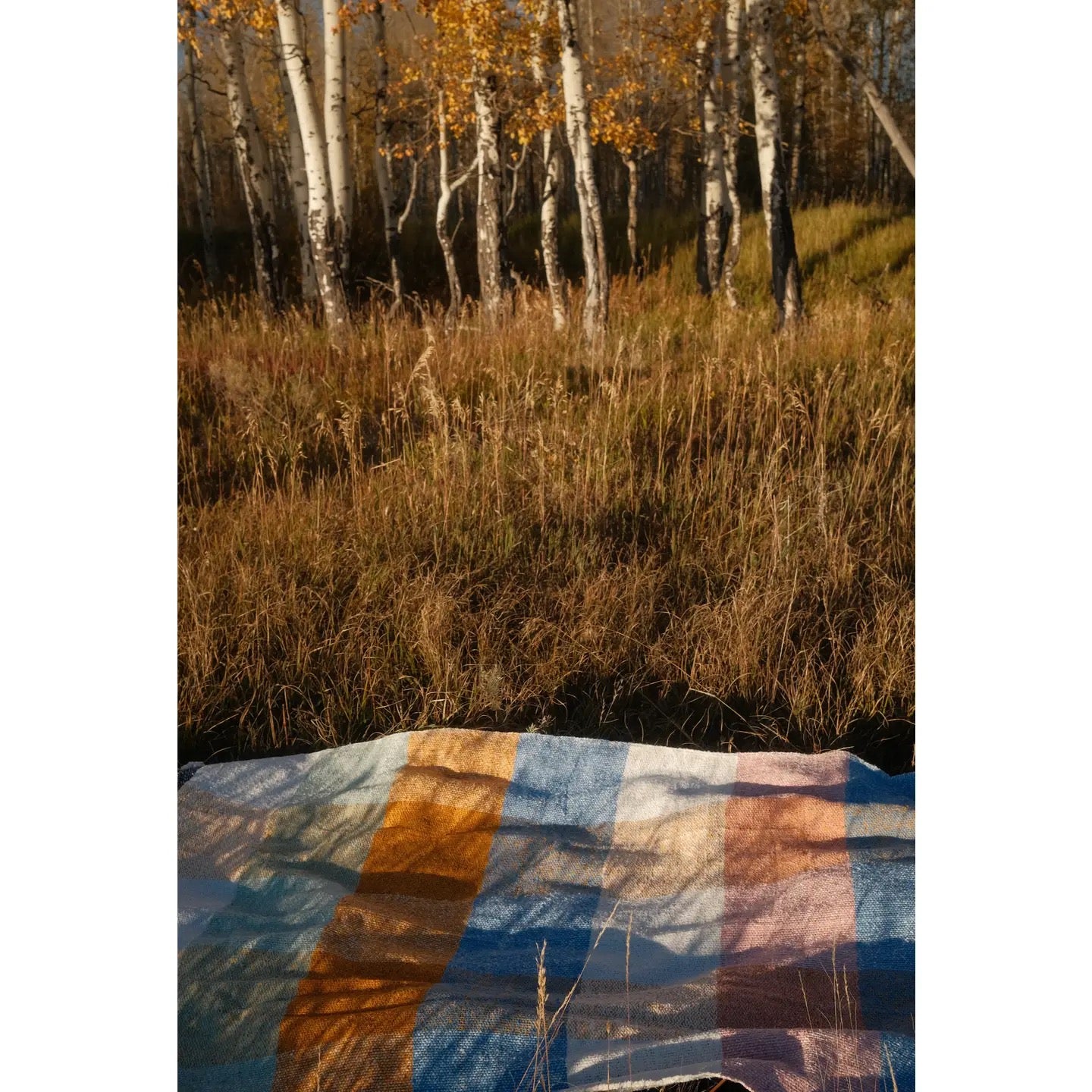 Blanket Roll - Suave Campo