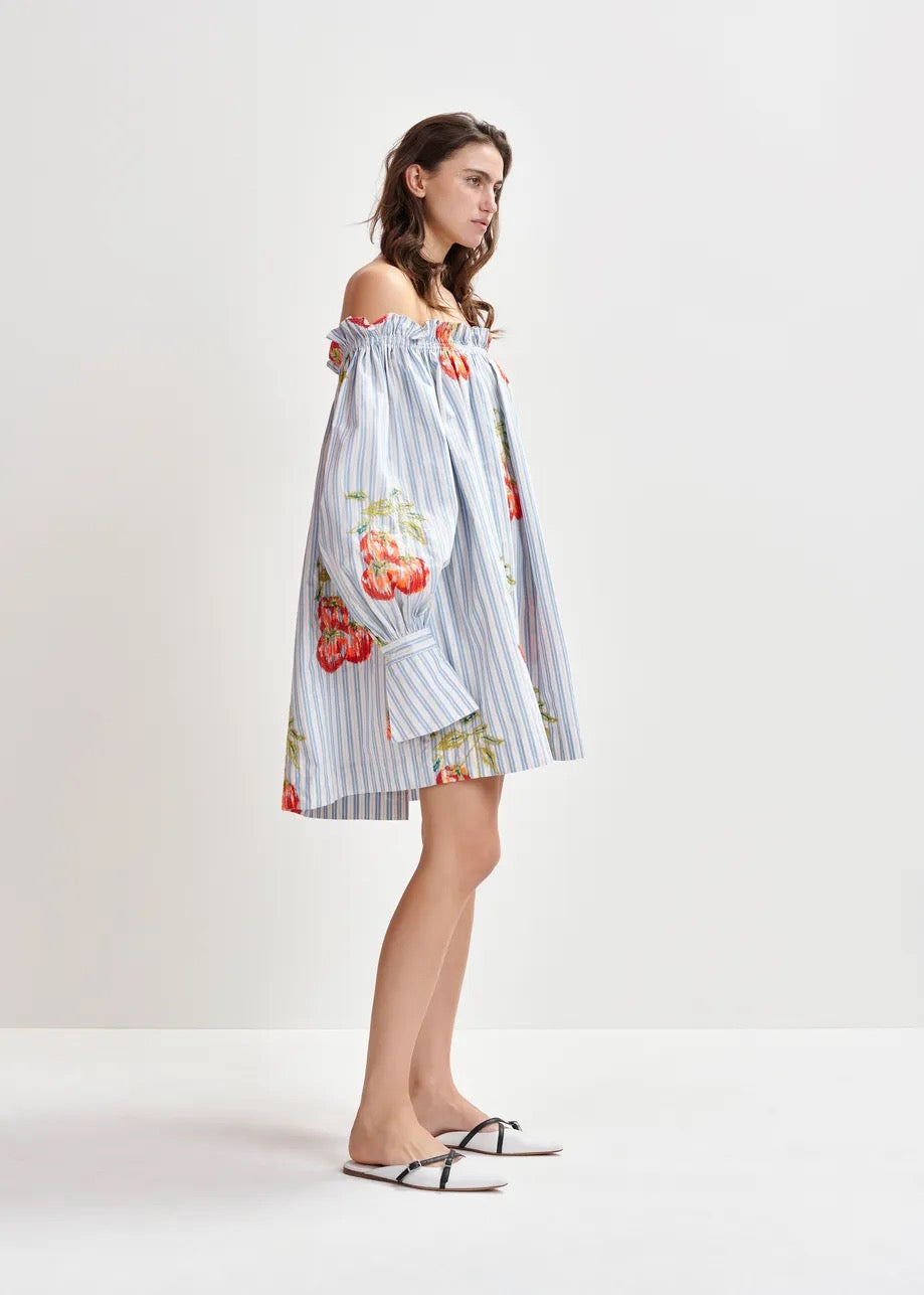 Blue and White Off Shoulder Floral Dress