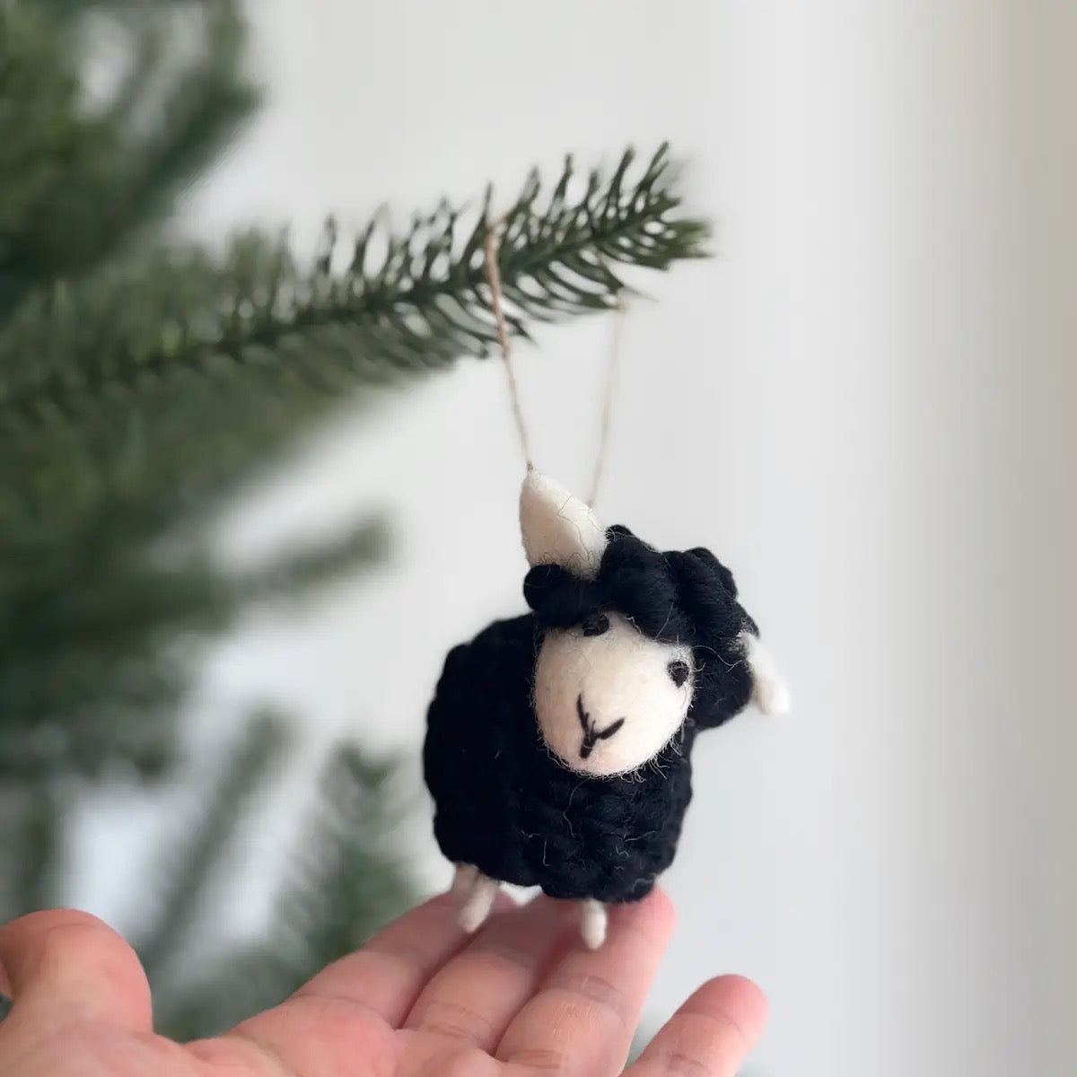 Mini Black Sheep Ornament