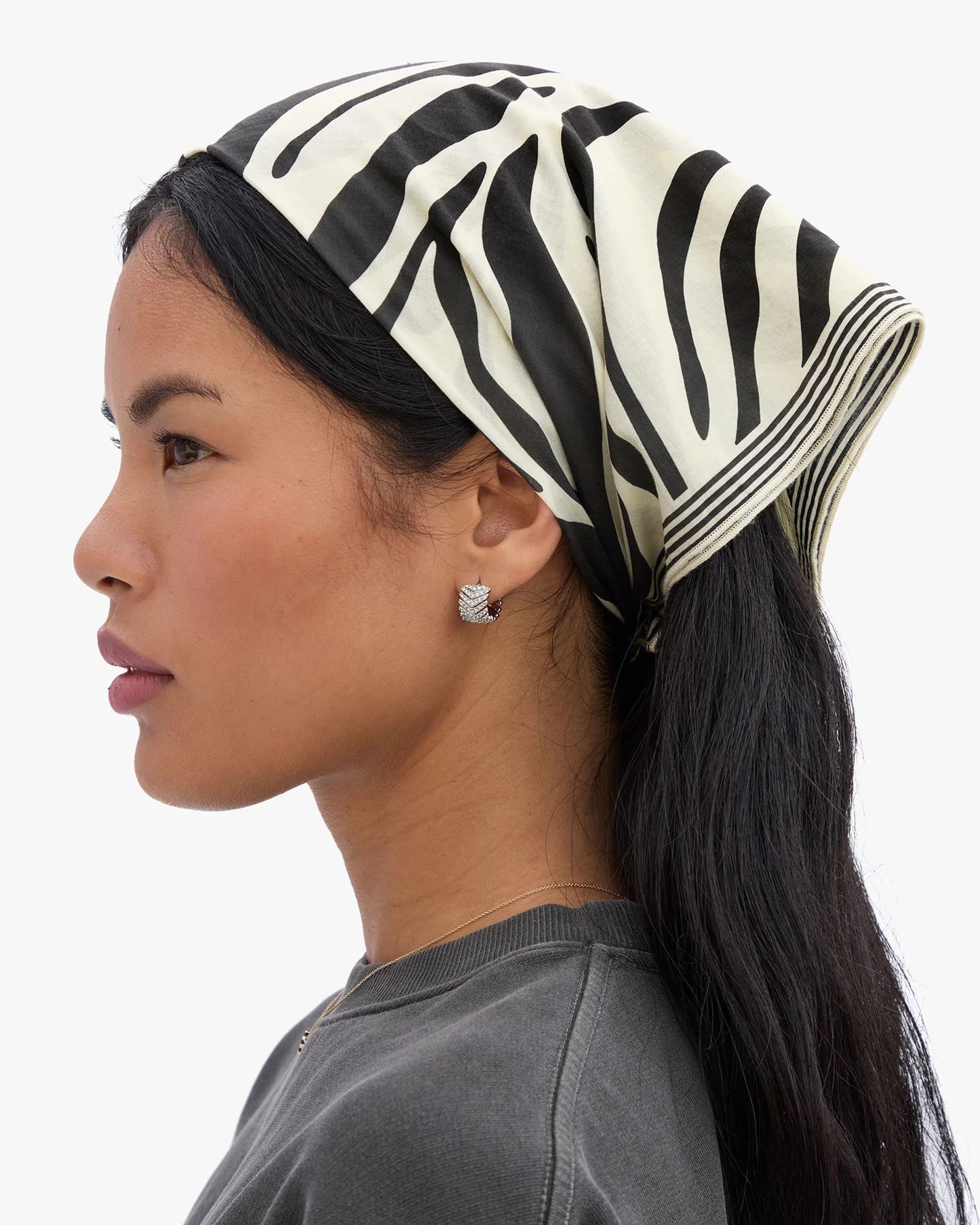 Zebra Bandana
