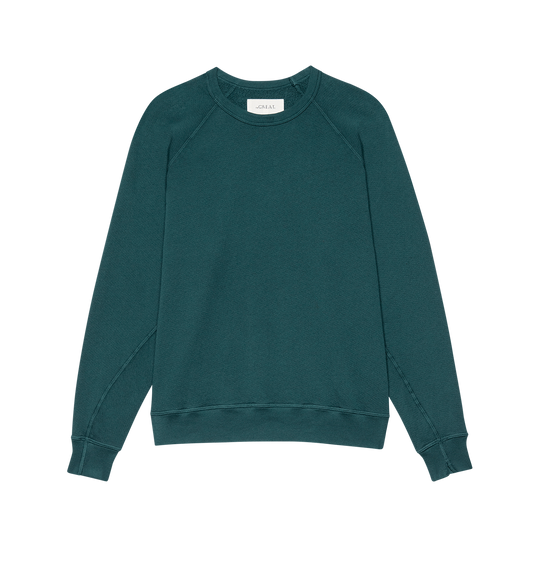 The College Sweatshirt