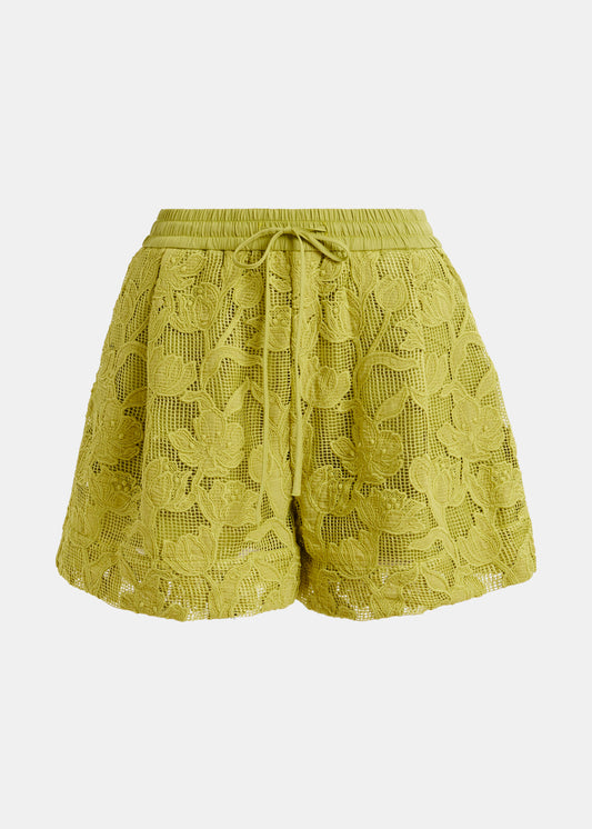 Hazer Lace Shorts